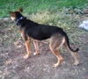 Big Lexie