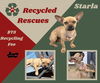 Starla (Recycle)