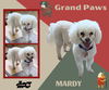 Mardy (GrandPaws)