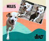 Miles