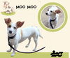 MooMoo
