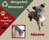 Mateo (Recycle)