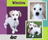 Winslow