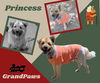 Princess (GrandPaws)