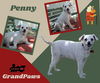 Penny (GrandPaws)