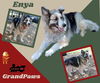 Enya (GrandPaws)