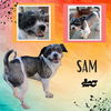 Sam (Ritzy)