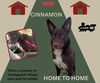 *Cinnamon* HOME TO HOME