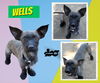 Wells