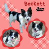 Beckett