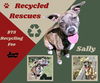 Sally (Recycle)