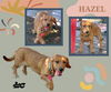 Hazel