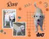 Roxy