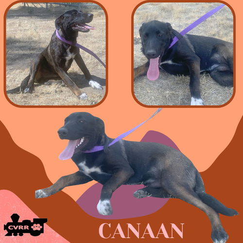 Canaan