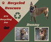 Bunny (Recycle)