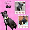 Belle