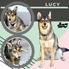 Lucy
