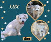 Lux (Ritzy)