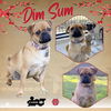 DimSum (Ritzy)