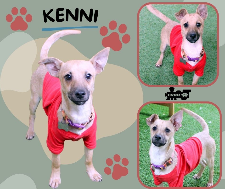 Kenni Image