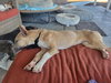 Kleo - Photo 2