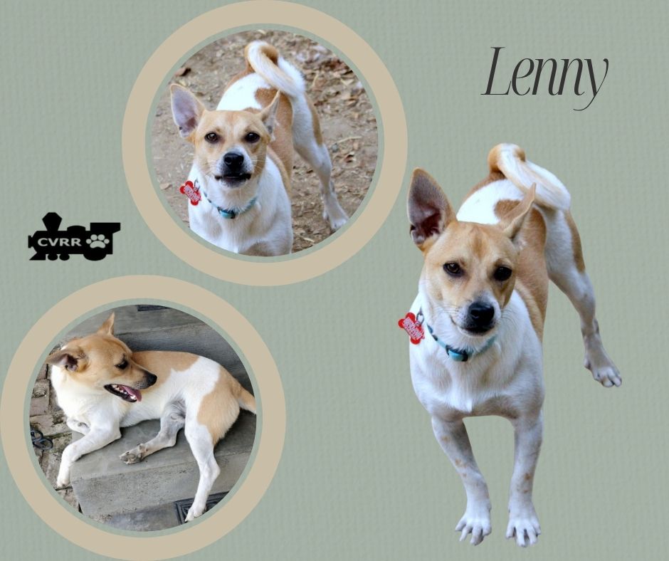 Lenny Image
