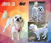 Janni Jo (Ritzy)