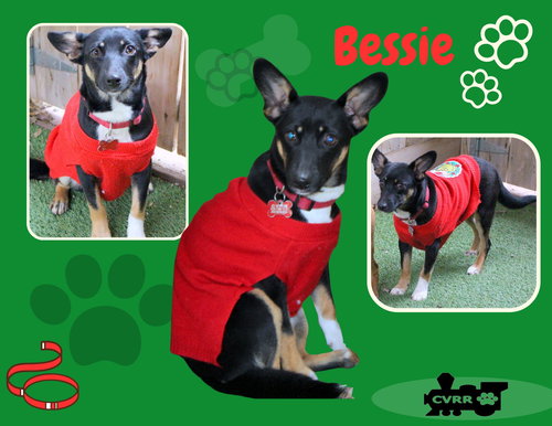 Bessie