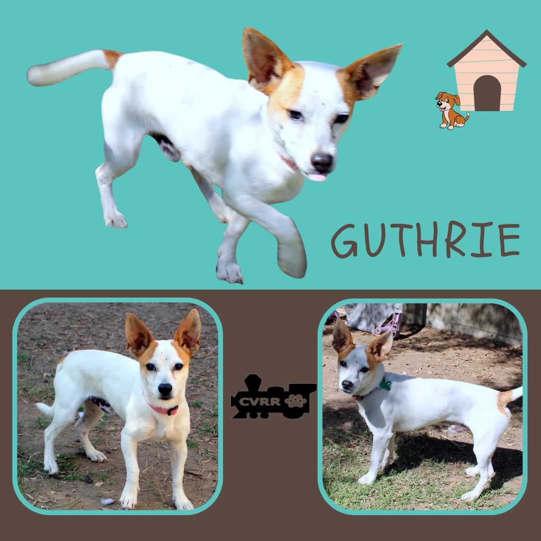 Guthrie Image
