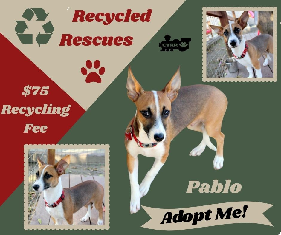 Pablo Image