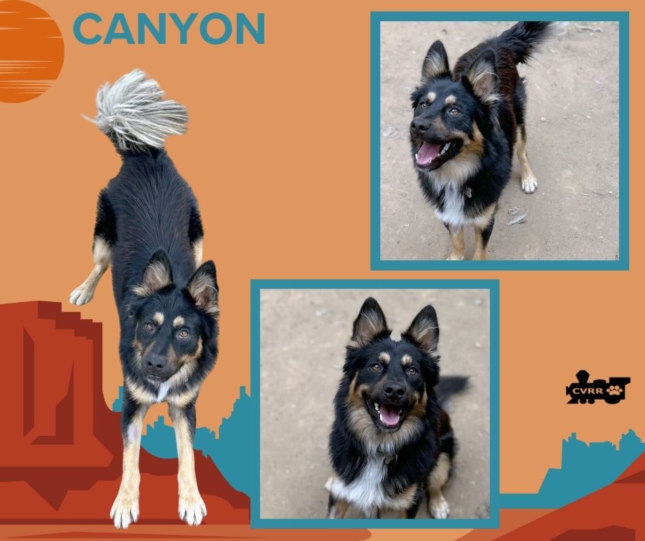 Canyon Image