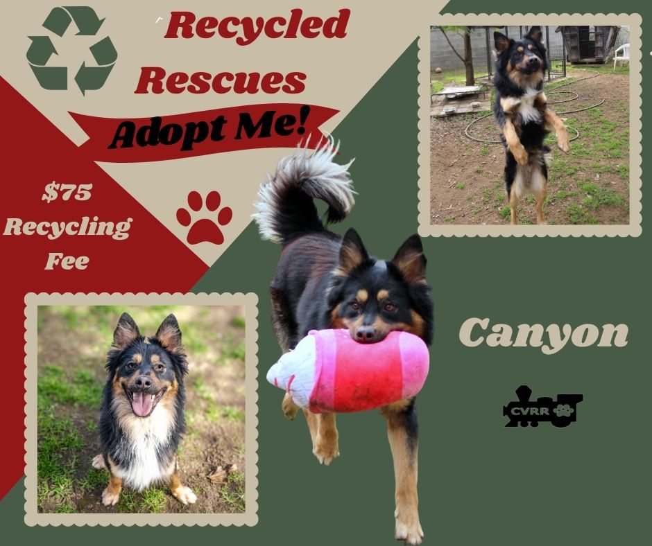 Canyon (Recycle) Image