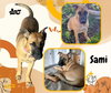 Sami (Puppy)