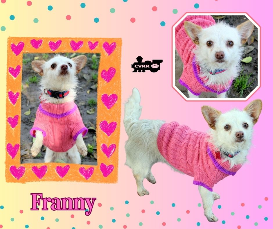 Franny Image