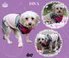 Diva (Ritzy)