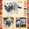 Tule