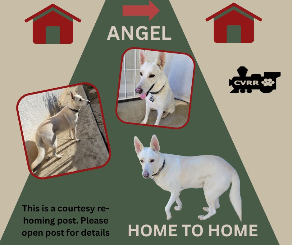 *Angel* HOME TO HOME Image