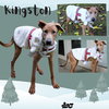 Kingston