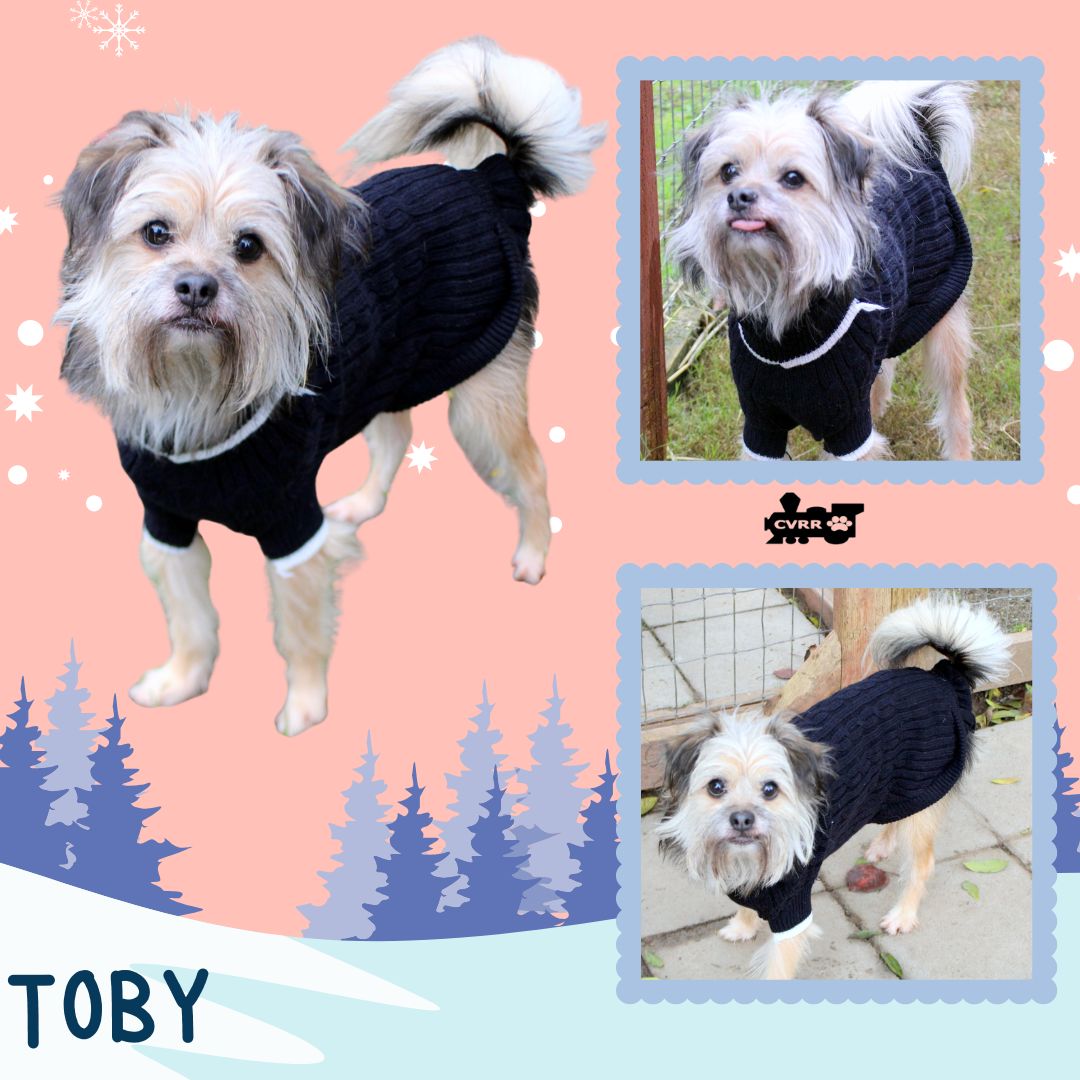 Toby Image