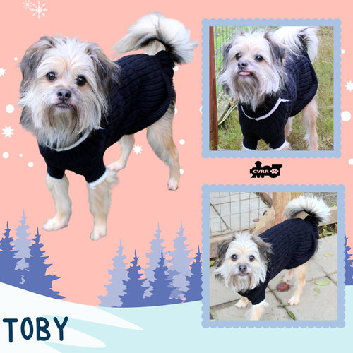 Toby