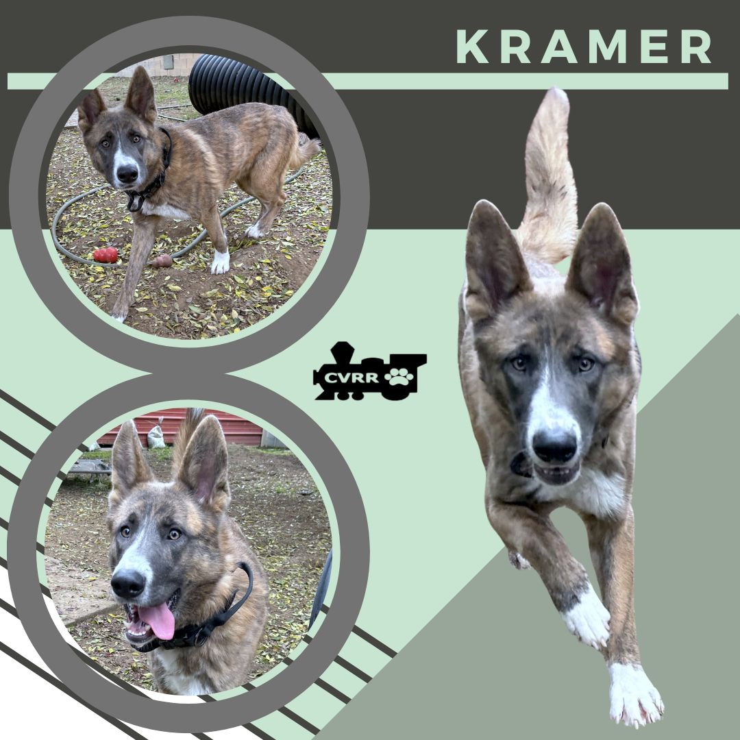 Kramer Image