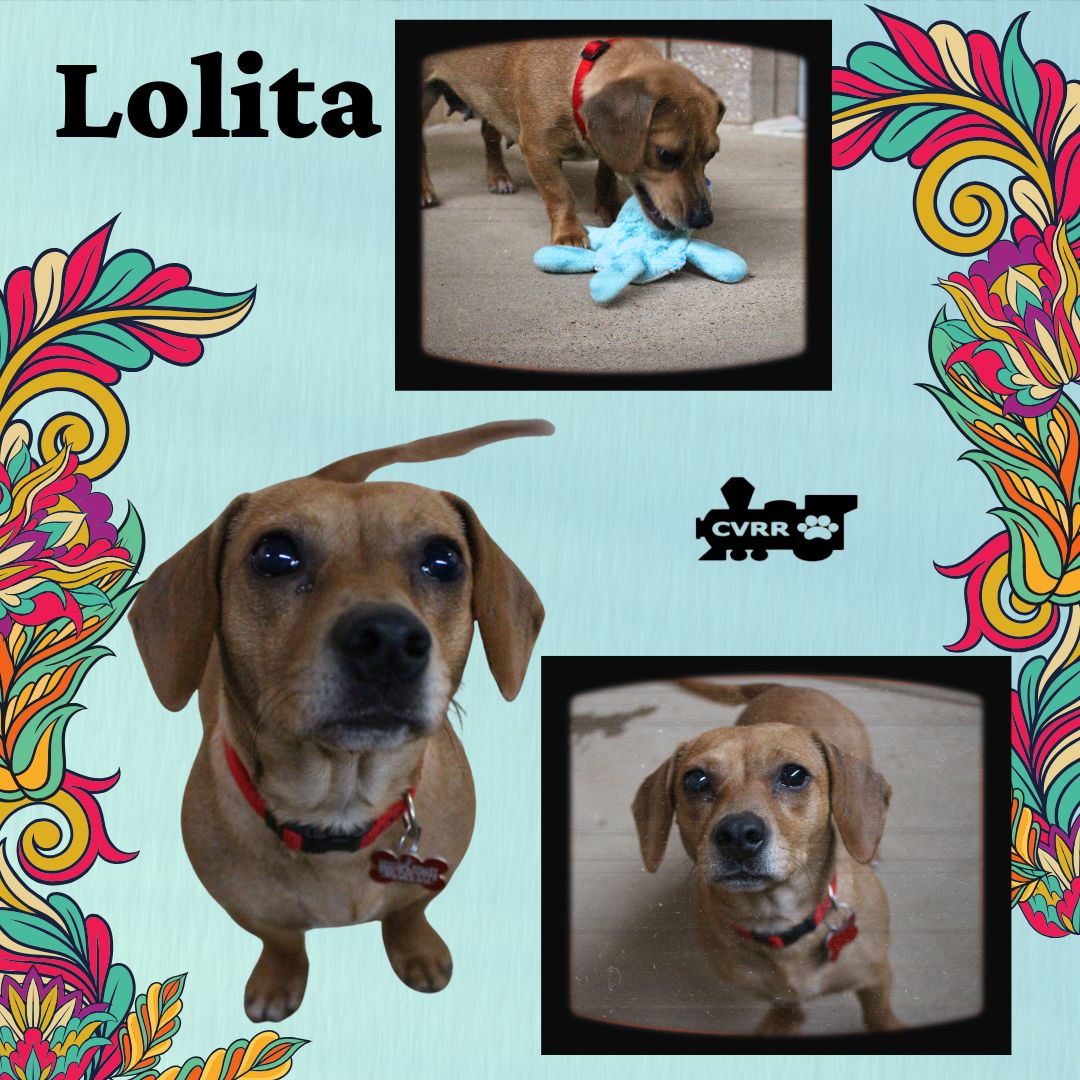 Lolita Image