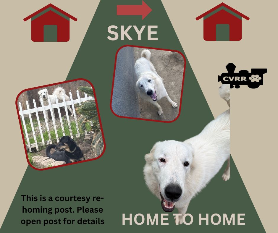 *Skye* HOME TO HOME Image