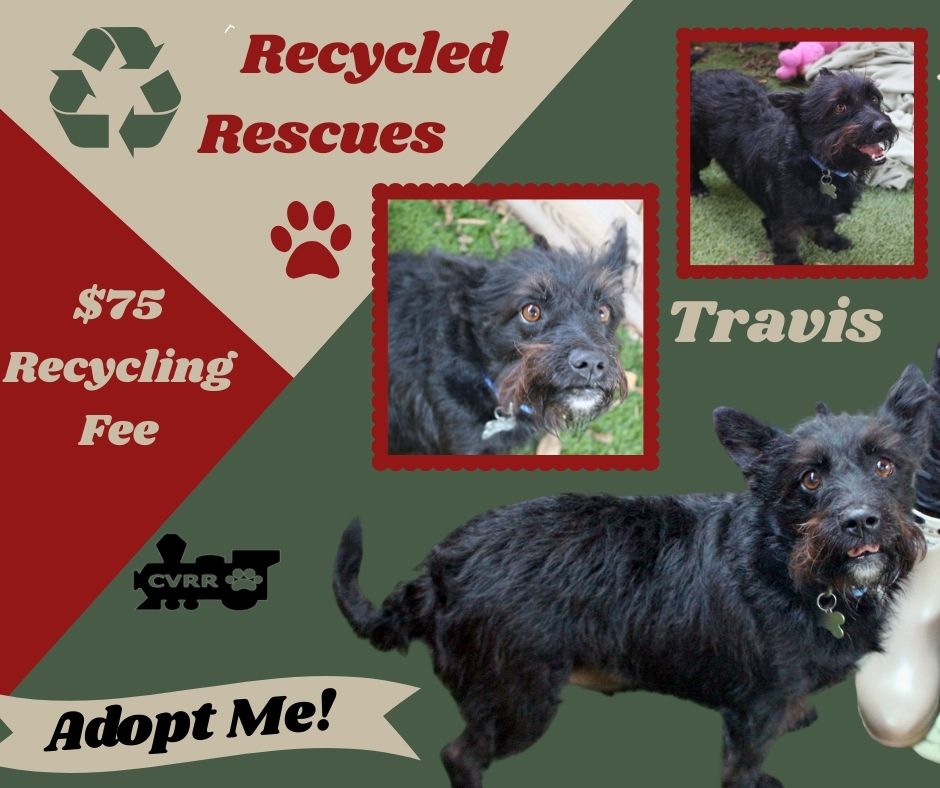 Travis (Recycle) Image