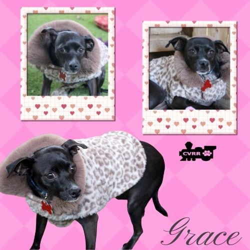 Grace Image