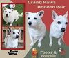 Pooter and Poochie (GrandPaws)
