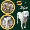 Selene (Ritzy)