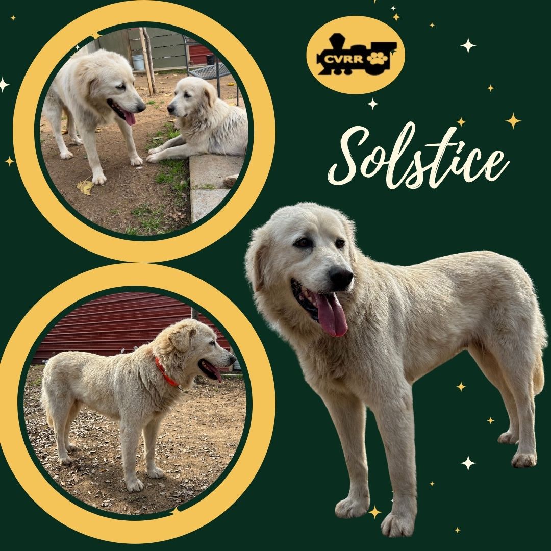 Solstice (Ritzy) Image