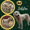 Solstice (Ritzy)