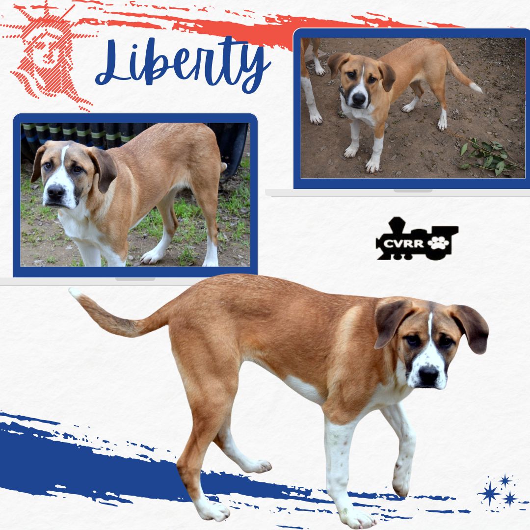 Liberty Image